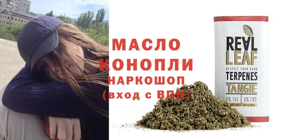 СК Алексин