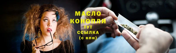 СК Алексин