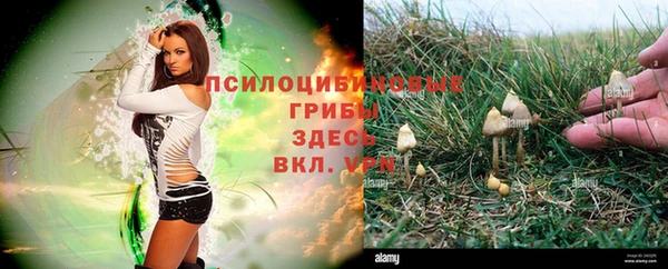 мет Алексеевка