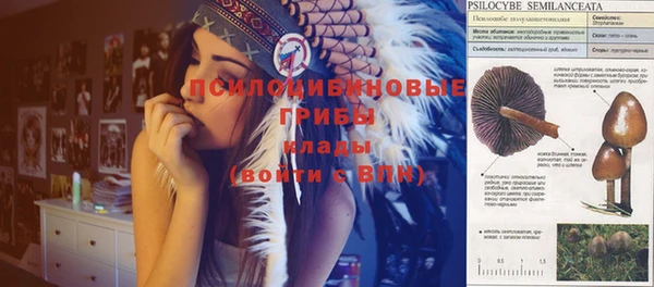 гидра Алзамай