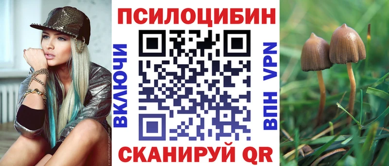 Псилоцибиновые грибы мухоморы  Камышлов 